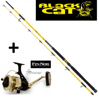 Black Cat Freestyle 3,00m Wallerrute 300-400g + Fin-Nor Offshore 95 Rolle